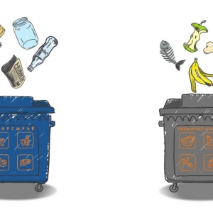 5 причин внедрить раздельный сбор отходов прямо сейчас